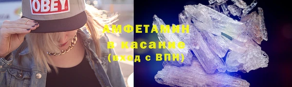 индика Алзамай