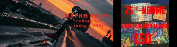 индика Алзамай