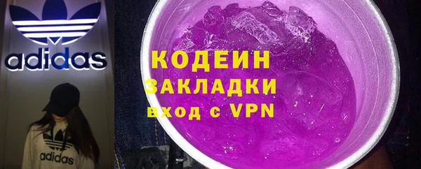 индика Алзамай
