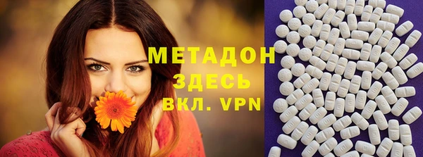 индика Алзамай