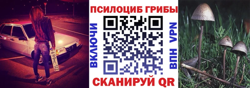 Псилоцибиновые грибы GOLDEN TEACHER  Спас-Клепики 